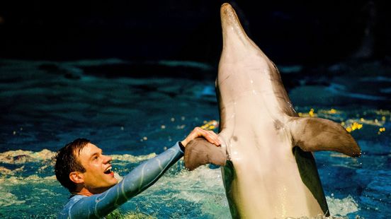 Foto: Onvoldoende bewijs voor overtredingen Dolfinarium: 'Staatssecretaris heeft onzorgvuldig gehandeld'