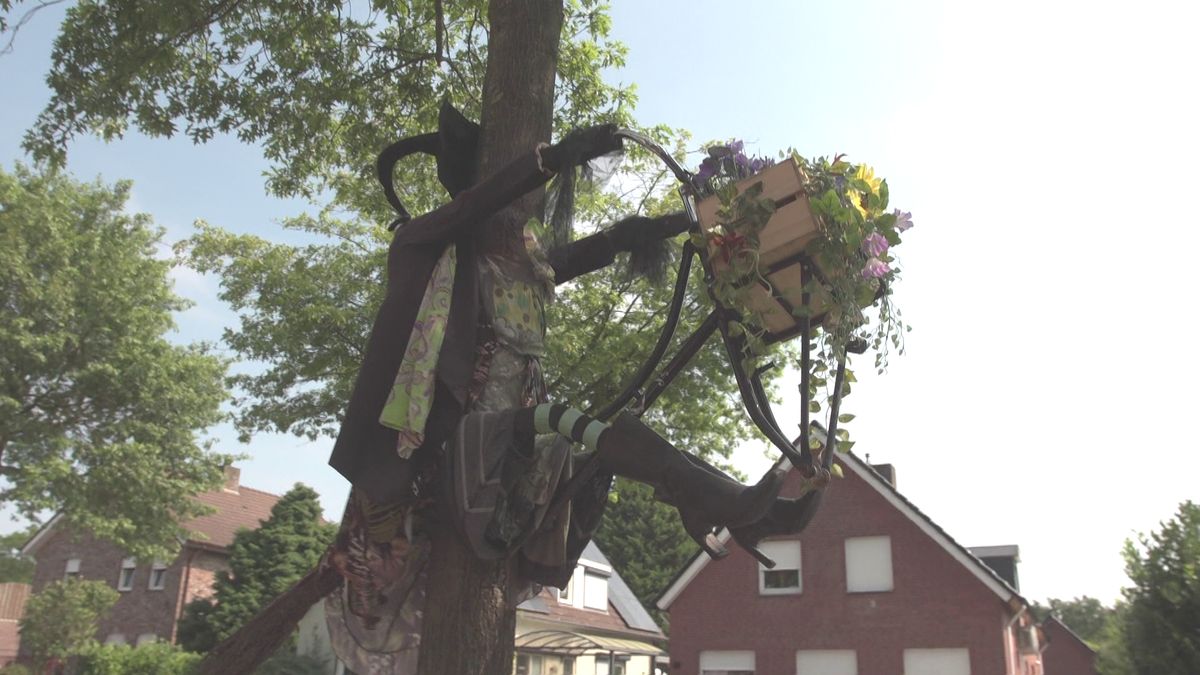 Óngerwaeg bouwt mee aan de boomheks van Heksenberg