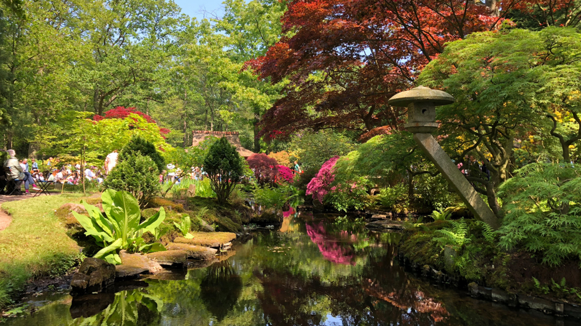 De Japanse Tuin van landgoed Clingendael in Den Haag
