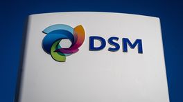'DSM-bestuurder hield slechte cijfers pensioenfonds achter'