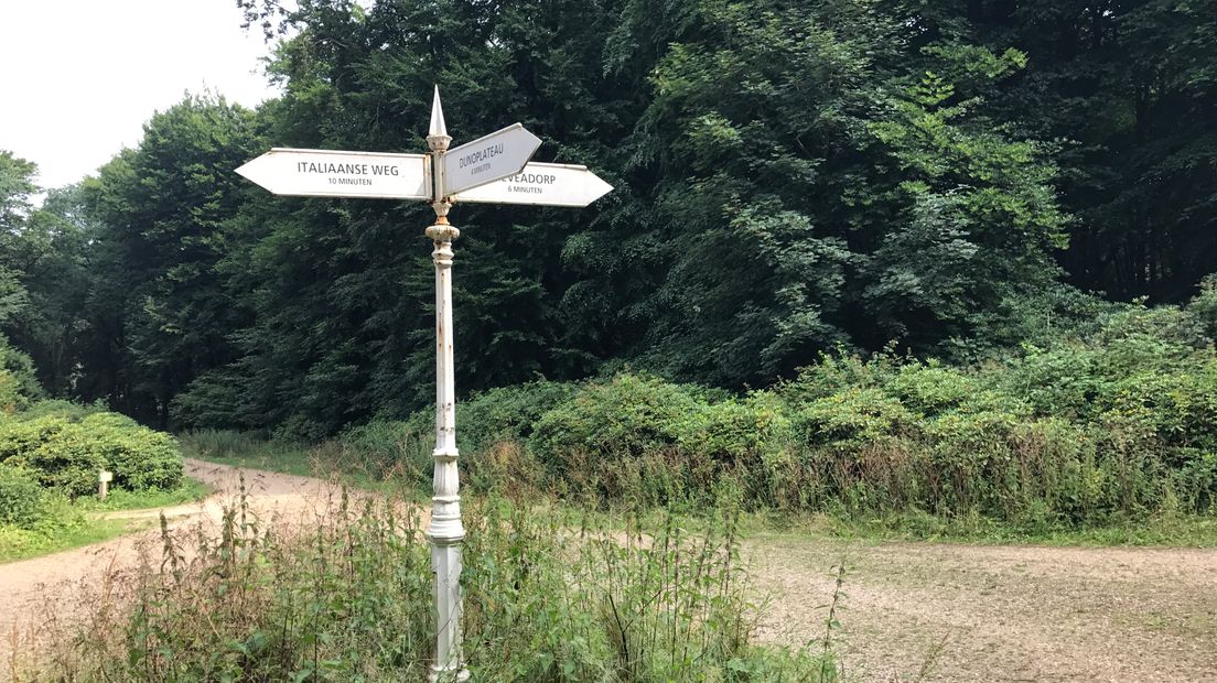 De oudste ANWB-wandelroute van ons land is ruim 100 jaar oud. Hij loopt van Amsterdam naar Arnhem. De wandeltocht Te voet van Amsterdam naar Arnhem bestaat al sinds 1914. De laatste van de zes etappes loopt door Gelderland.