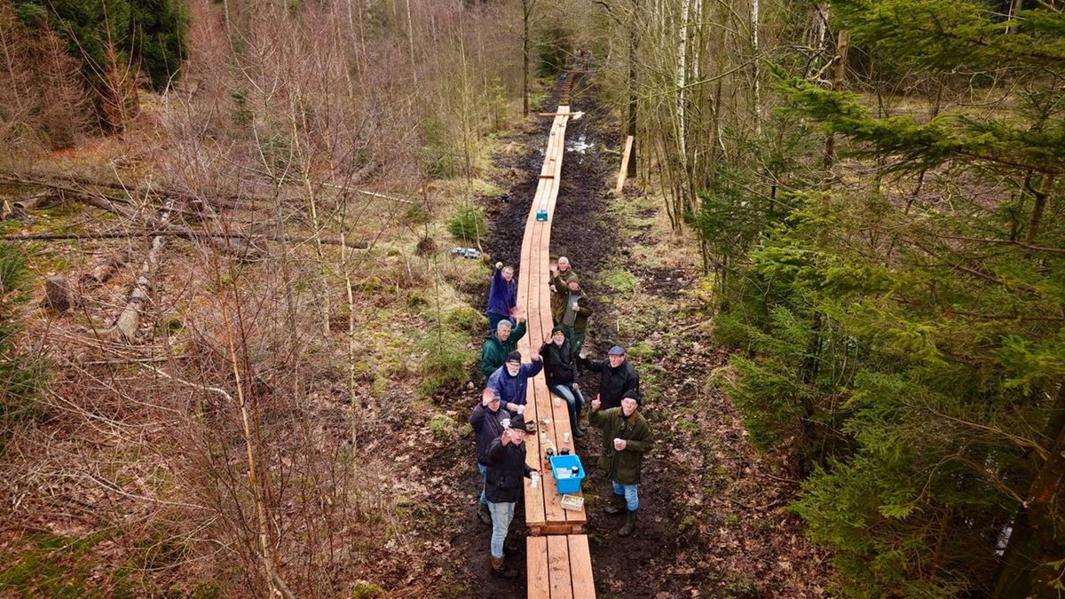 Vrijwilligers Hoogersmilde voelden nattigheid en leggen nieuw plankenpad aan