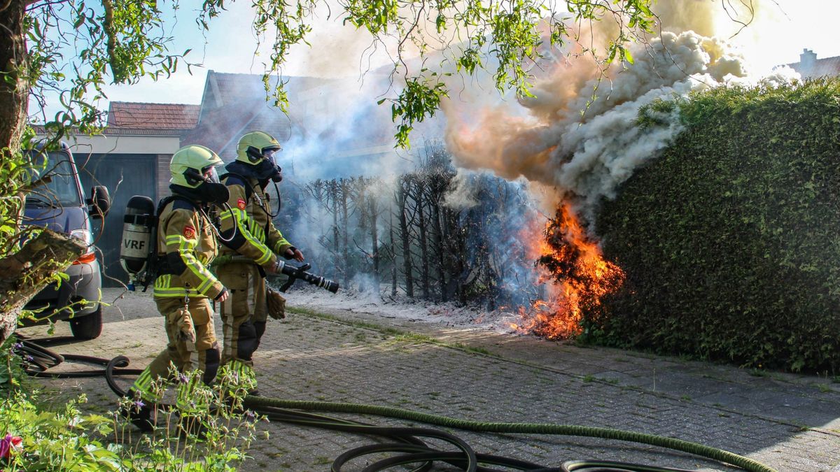 Coniferenhaag in brand in Witmarsum