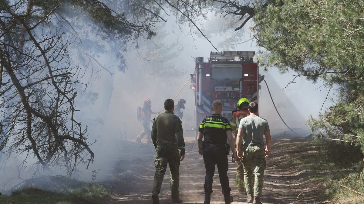 Bossen Weert en Budel weer toegankelijk na grote natuurbrand