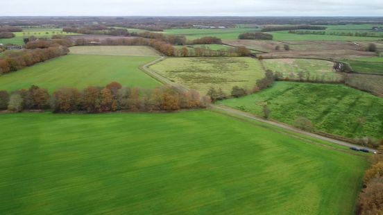 Natuurgebied Geelbroek wordt nu echt natter: winst voor de natuur maar niet voor boeren