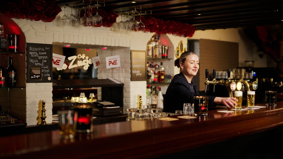 Deze drie nieuwe partijen zien kansen bij de verkiezingen, maar wat voegen ze toe?