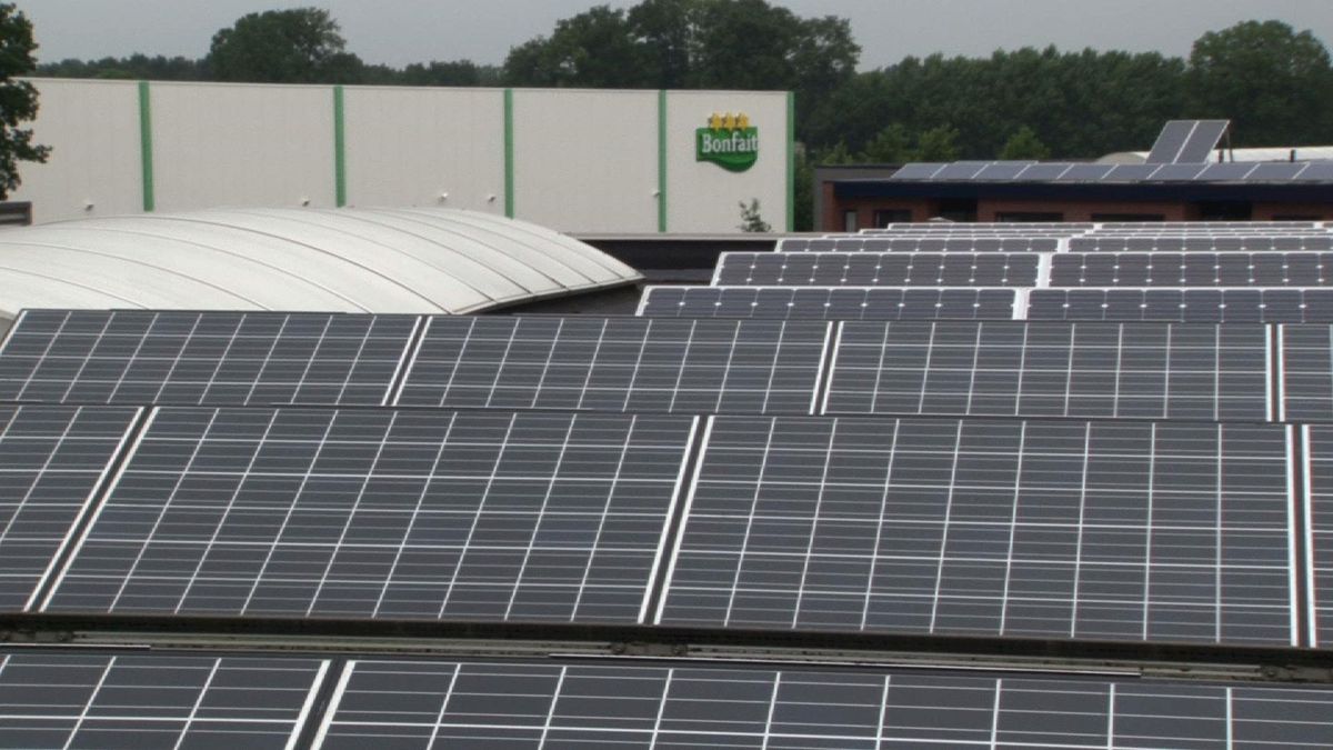 Deventer wil velden vol zonnepanelen op het platteland