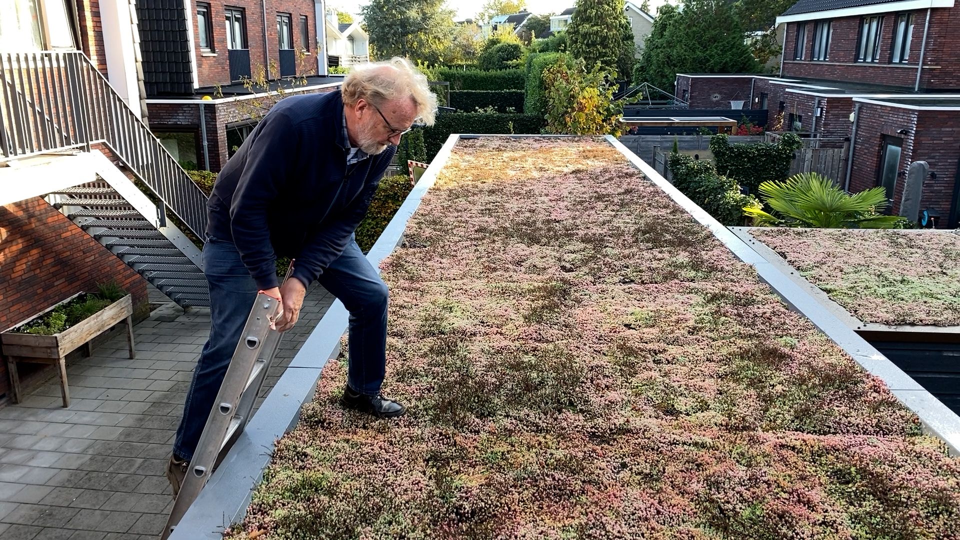 Dick Kaas uit Odijk op het groene dak dat hij samen met de buren aanlegde dankzij een subsidie van het hoogheemraadschap