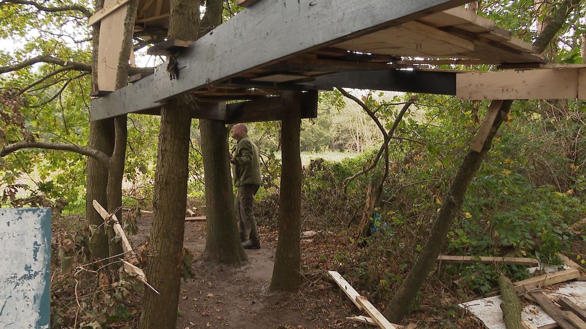 Het Drentse Landschap niet blij met hut van kinderen in bos bij Nieuw-Buinen
