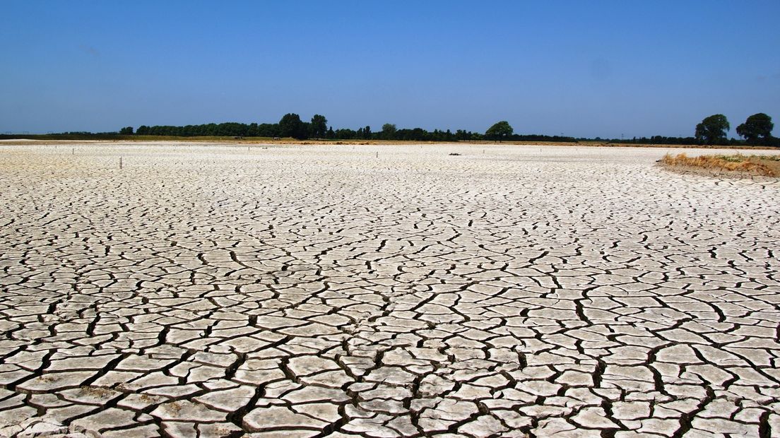 Scheuren in slibdepot bij Lewedorp door aanhoudende droogte