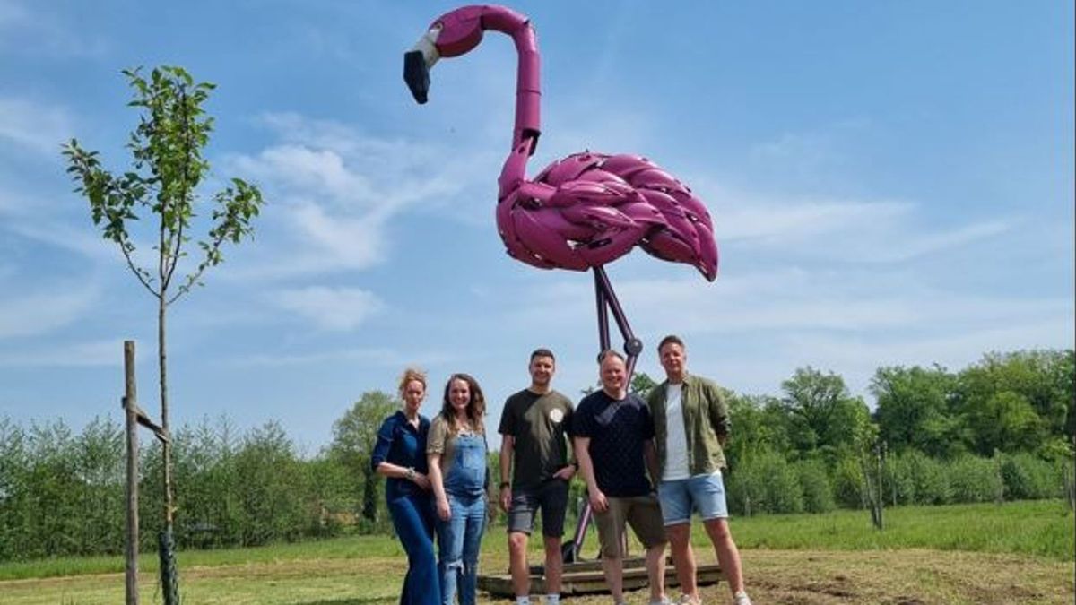 Geen ooievaar, maar roze flamingo als brenger van 'nieuw leven': Heimlandfestival in nieuw jasje ges
