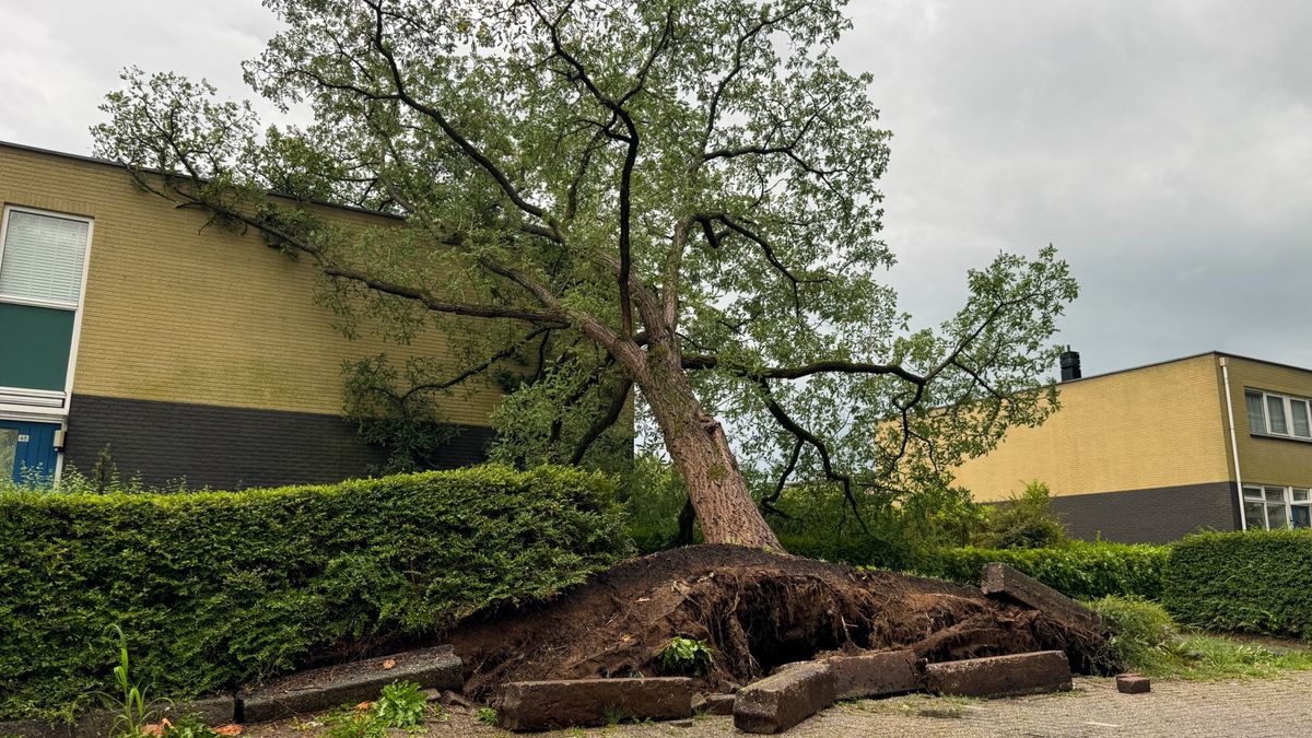112-nieuws 24 augustus: Storm in Fryslân | Brand in twee huizen door bliksem