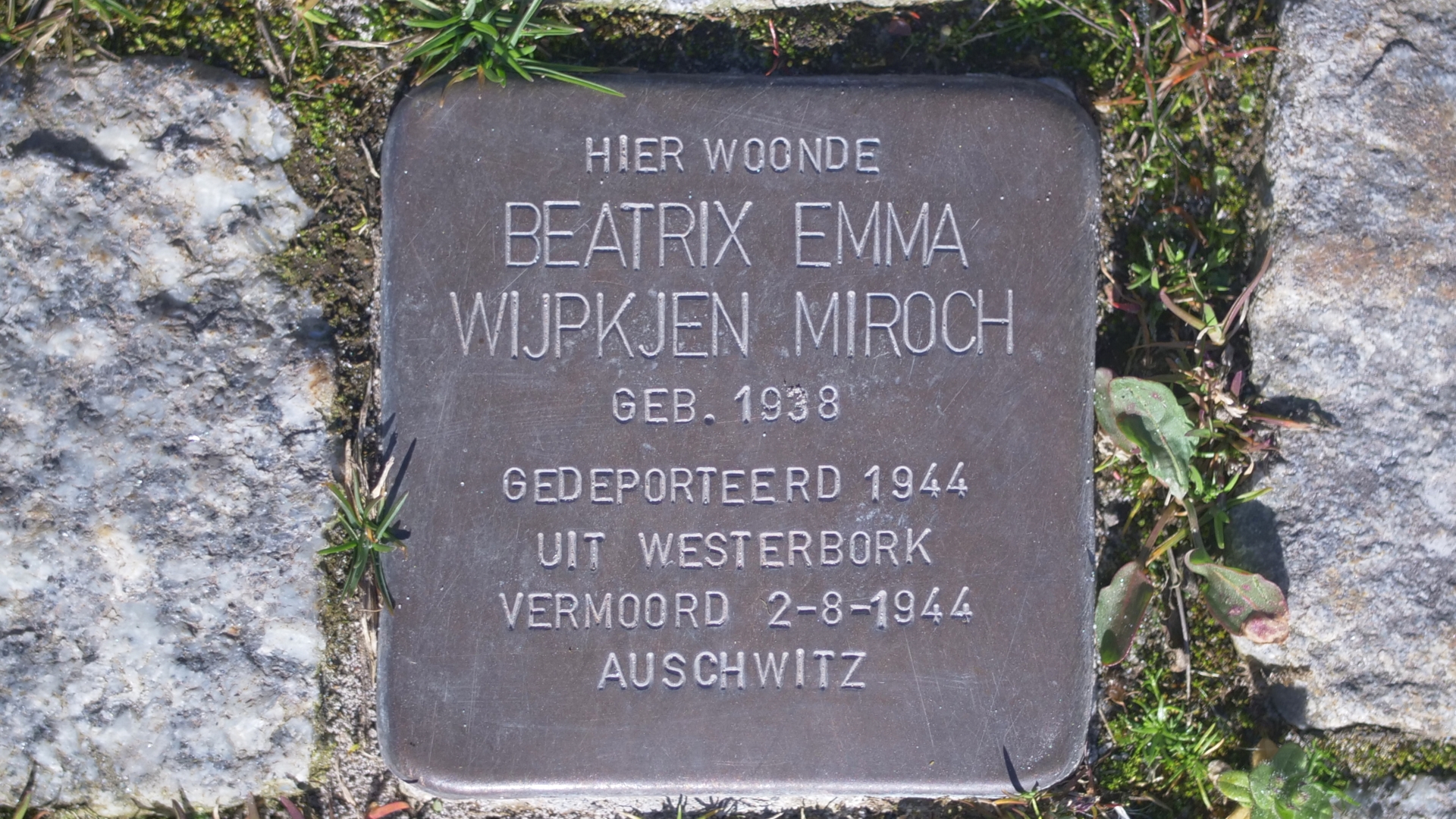 Stroffelstien Holwerd