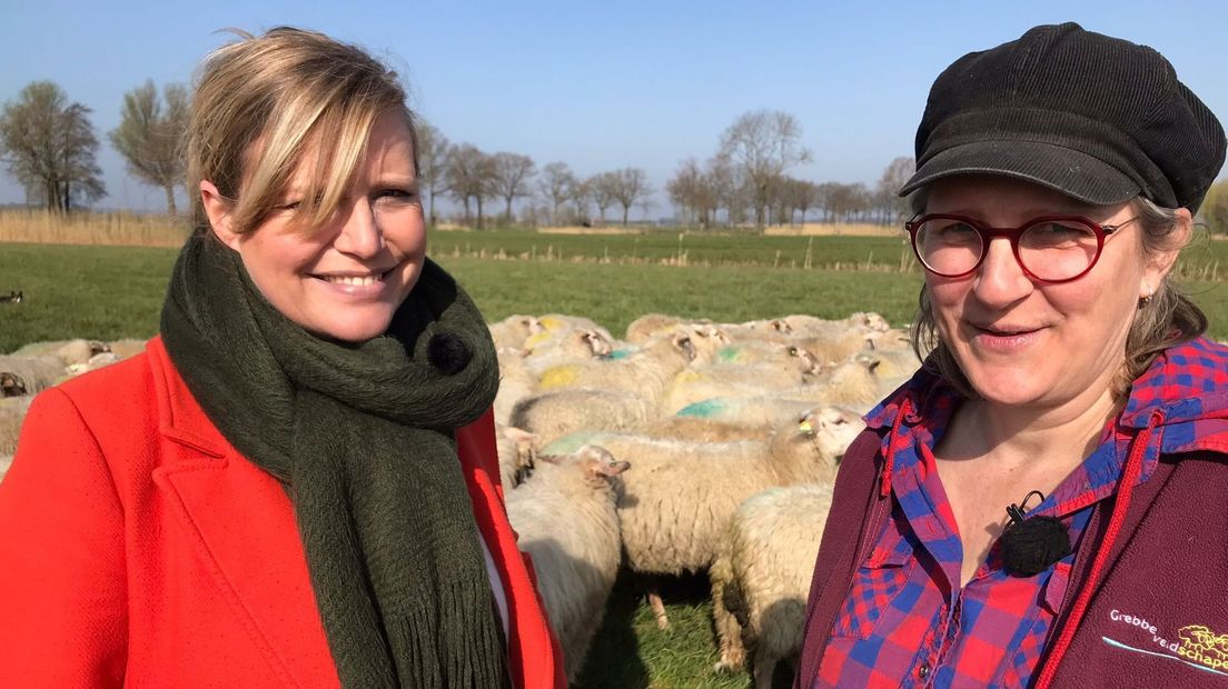 Margreet en Marjel bij een deel van de begrazingskudde