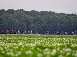 Drentse Fiets4Daagse start vandaag: deelnemers trappen door Drenthe en Duitsland