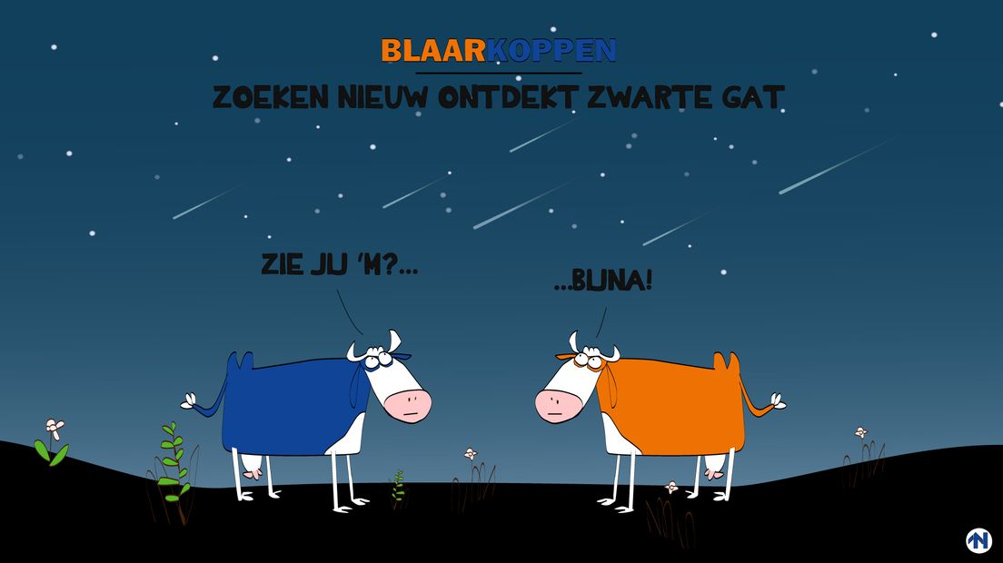 Blaarkoppen