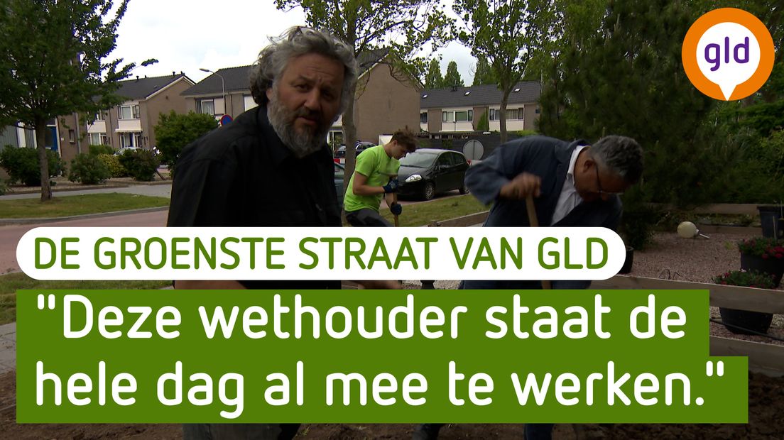 De Groenste Straat van Gelderland - Dodewaard