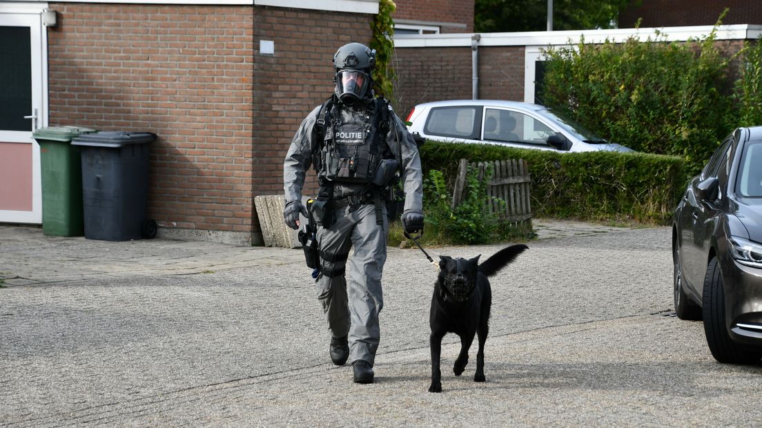 Arrestatieteam bij Westerzicht in Vlissingen