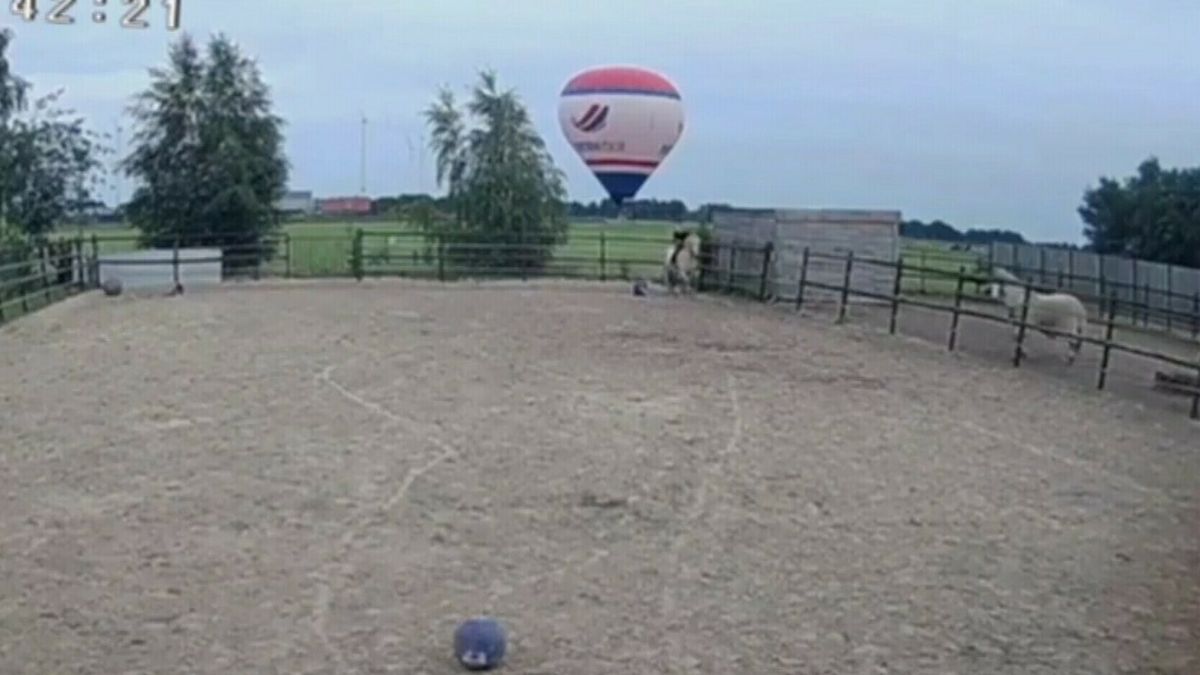 Help, luchtballon landt bijna in mijn tuin, mag dat?