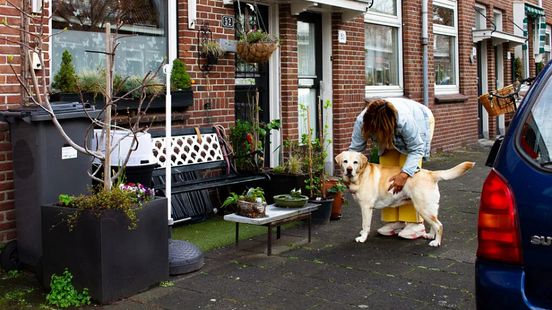 Kunstgras moet definitief verdwijnen, lijkt te veel op voortuin: 'Groot verschil met rest van buurt' Home