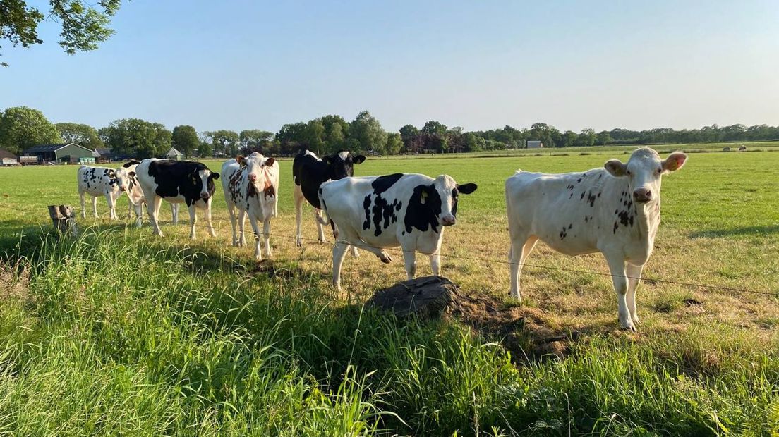 Herinrichtingsplan landelijk gebied Overijssel