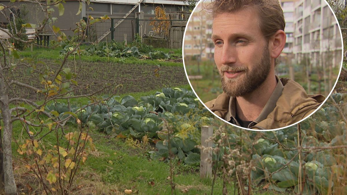 CitySeeds Middelburg grijpt naast award met geldprijs, maar ontvangt het geld toch