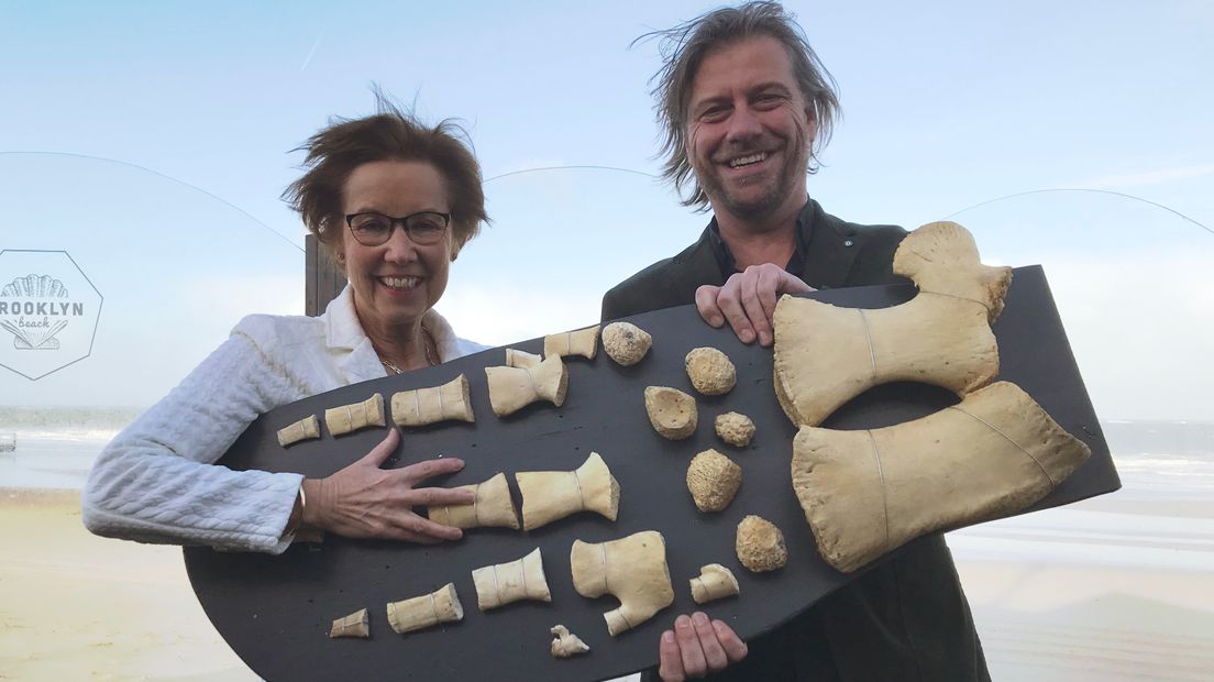 Botje voor botje komt potvis Pieter terug naar Zeeland