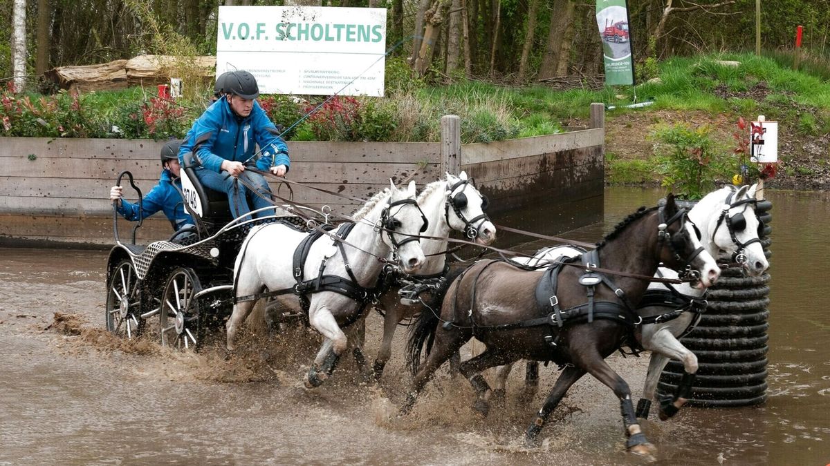 Vierspan-menner Joris Wouda (18): 'Ik hou 24 uur per dag rekening met de pony's'