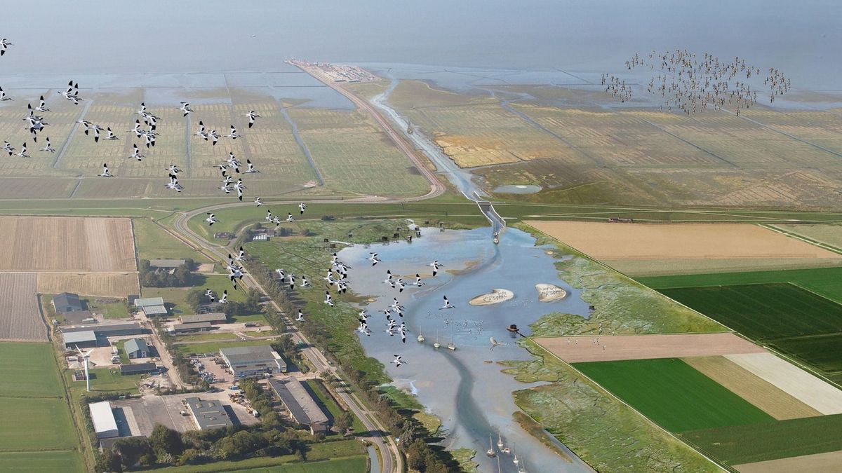 Natuurorganisaties en dorp blijven achter Holwerd aan Zee staan