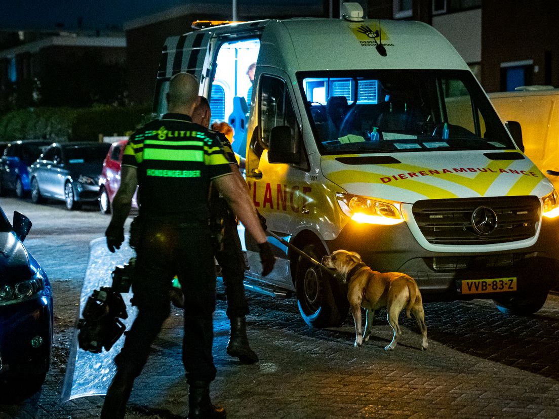 De terriër werd na de steekpartij meegenomen door de dierenambulance.