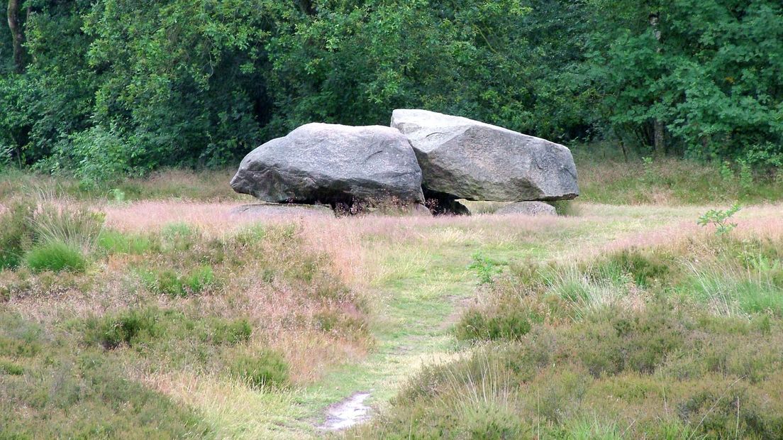 Hunebed D40 vormt samen met D38 en D39 een trio op een heideveld in het Valtherbos