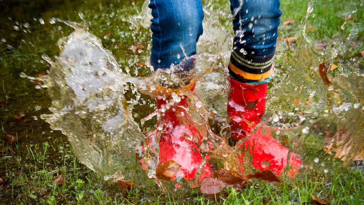 Nij Beets krijgt meeste regenwater van heel Nederland
