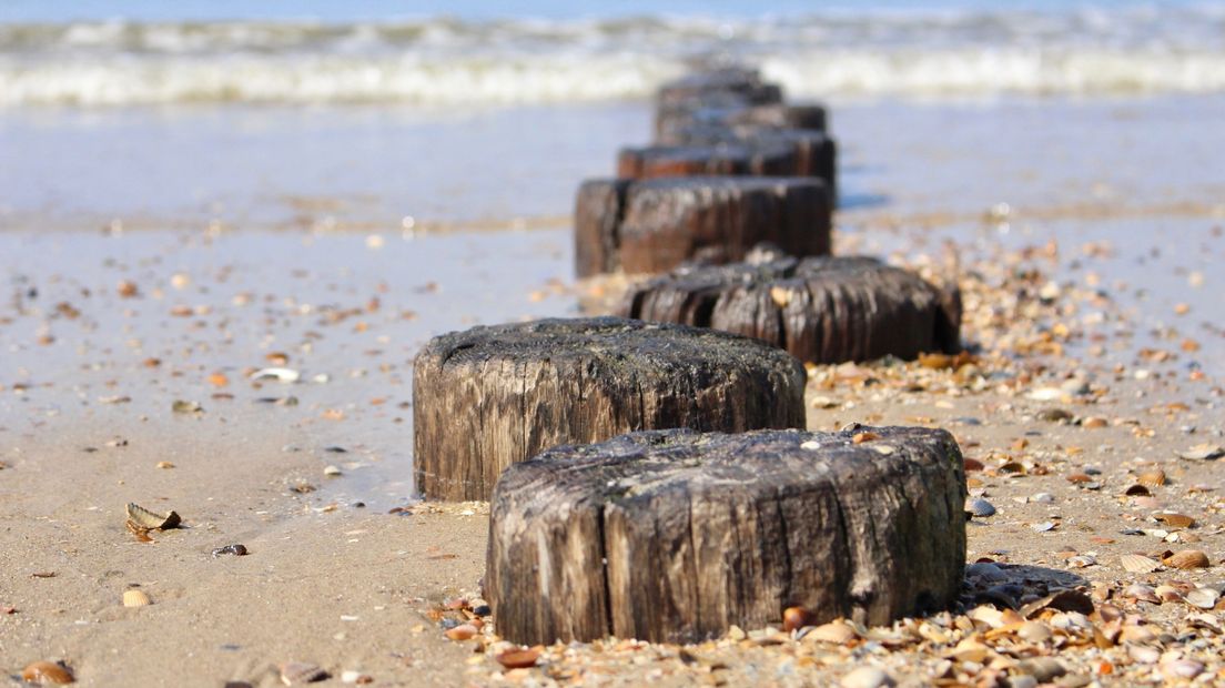 Palen op het strand van Domburg