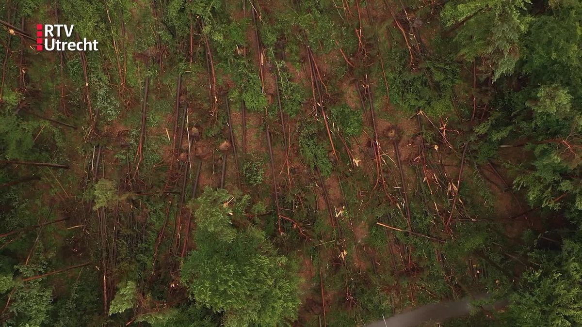 Dronebeelden van de stormschade in Leersum