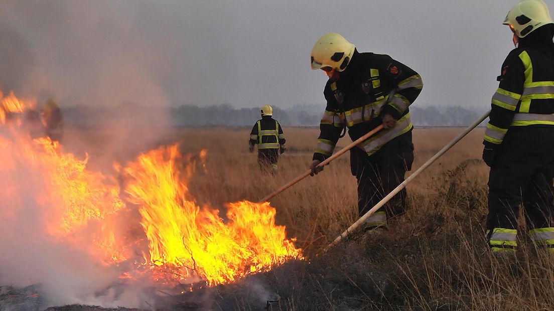 Brand op de heide bij Ruinen