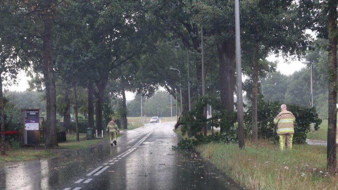 Op de N337 in Deventer schoot door de hoosbuien een tak los