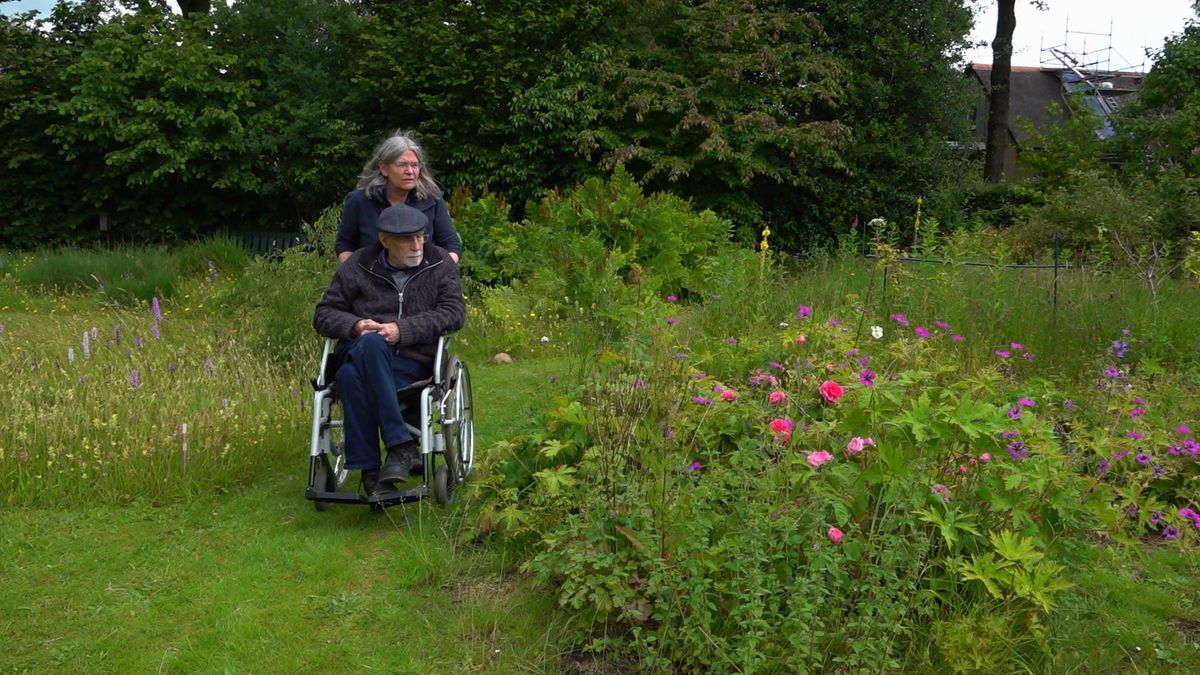 Het levenswerk van Jan en Ien: 'Ik vind wilde planten gewoon interessanter'