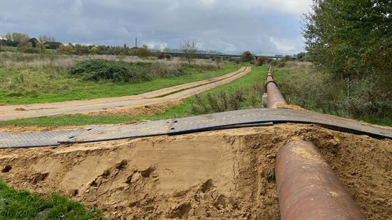 Waterschap legt tijdelijke rioolleiding aan tussen Baarlo en Blerick Nieuws