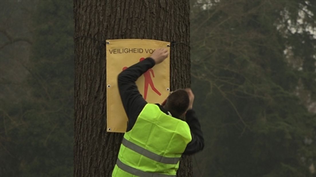 De maximumsnelheid op de N348 in Eefde moet omlaag. Om dat kracht bij te zetten hebben inwoners van Eefde zaterdag spandoeken opgehangen aan de bomen langs de kant van de provinciale weg.