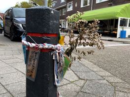 Omwonenden Vleutenseweg teleurgesteld in actieplan Utrecht: 'Mijn dochters steken hier dagelijks over'