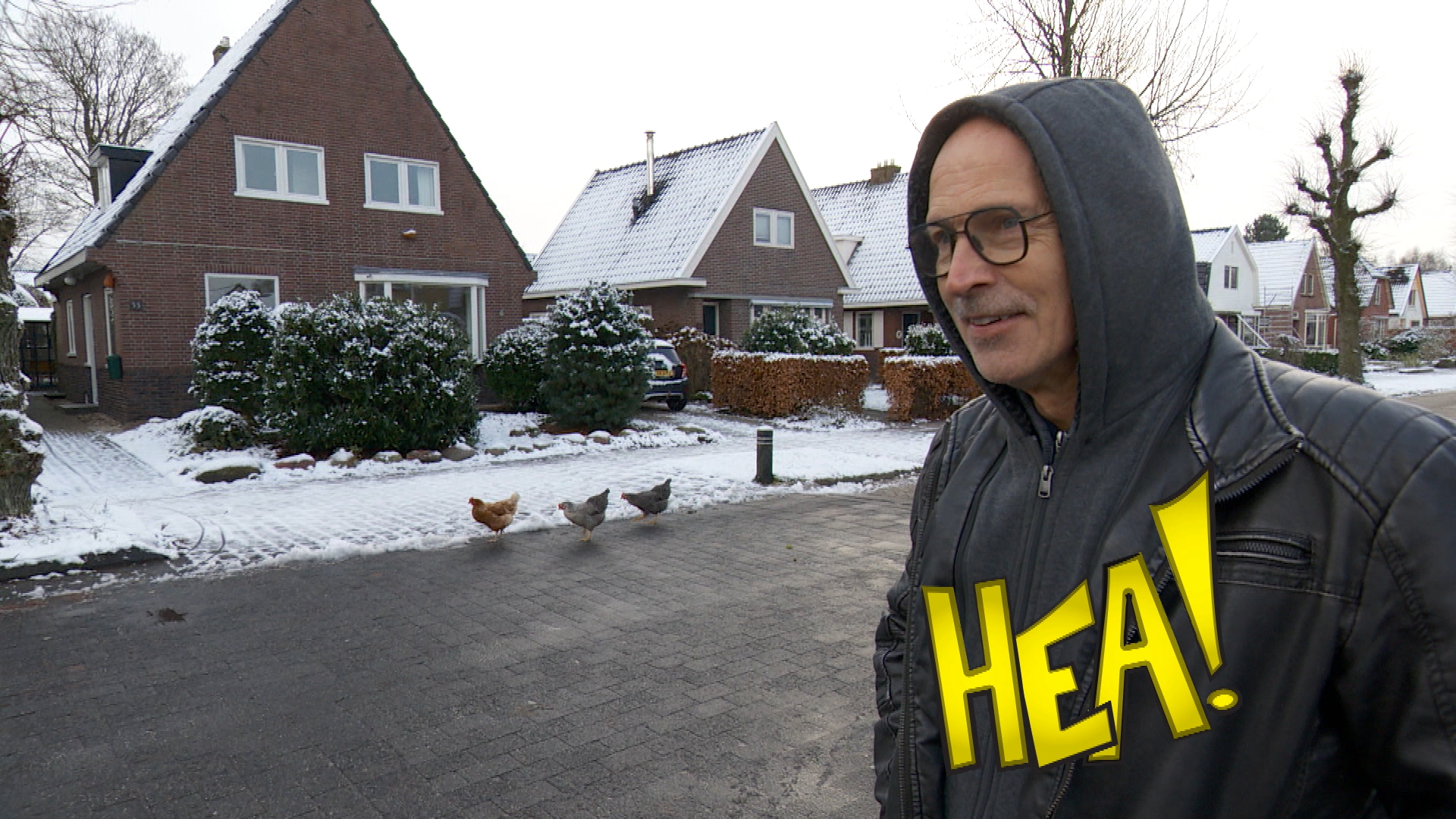 HEA! Omtoffelhinnen yn Hurdegaryp