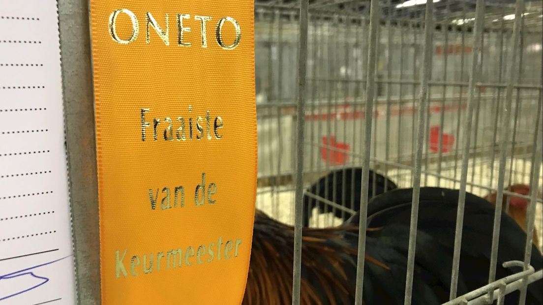 Een hangar vol dieren op Vliegbasis Twenthe