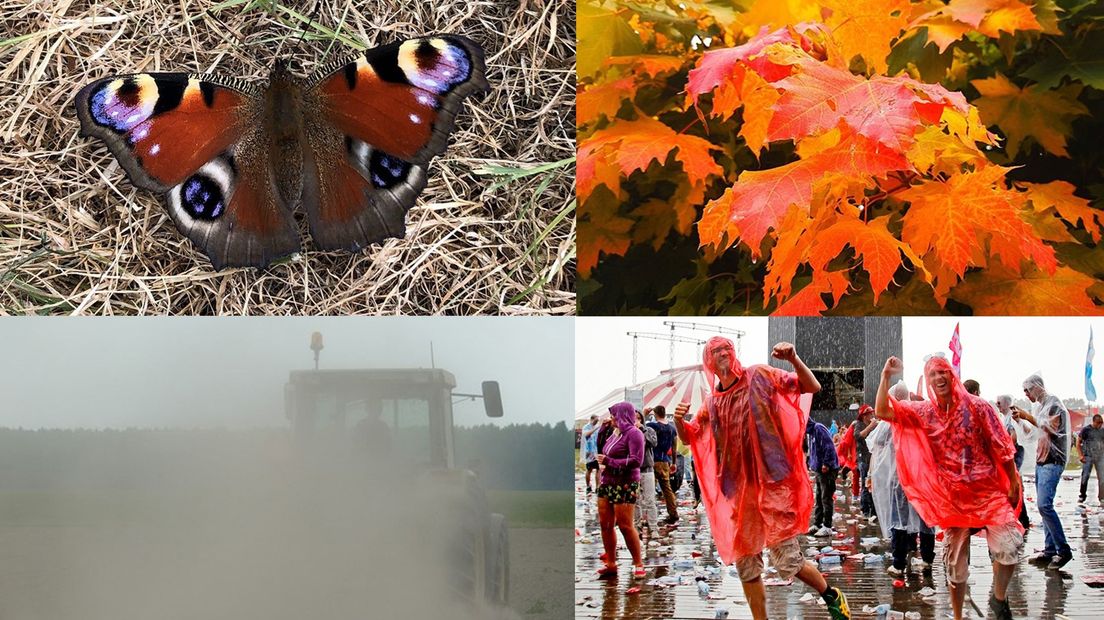 Heb je al aan deze gevolgen van de droogte gedacht?