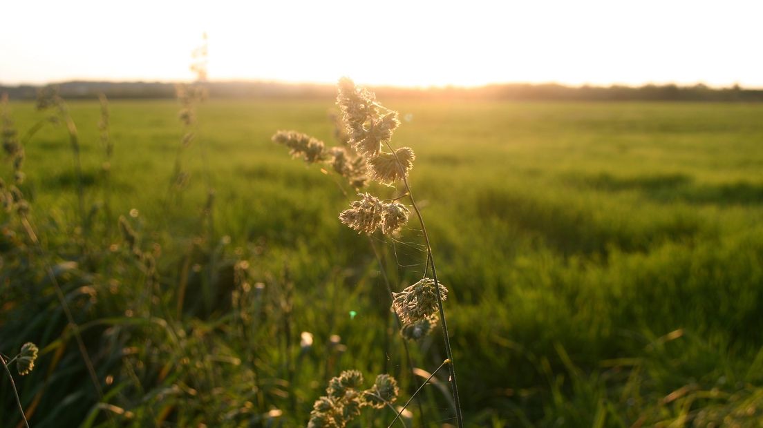 We kunnen de komende dagen nog van heerlijk nazomerweer genieten (Rechten: Pixabay.com)