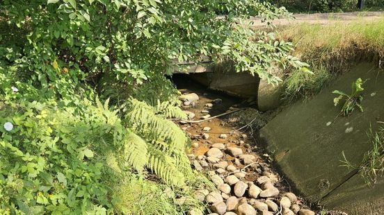 Nieuw verbod door droogte: geen grondwater oppompen bij kwetsbare beken
