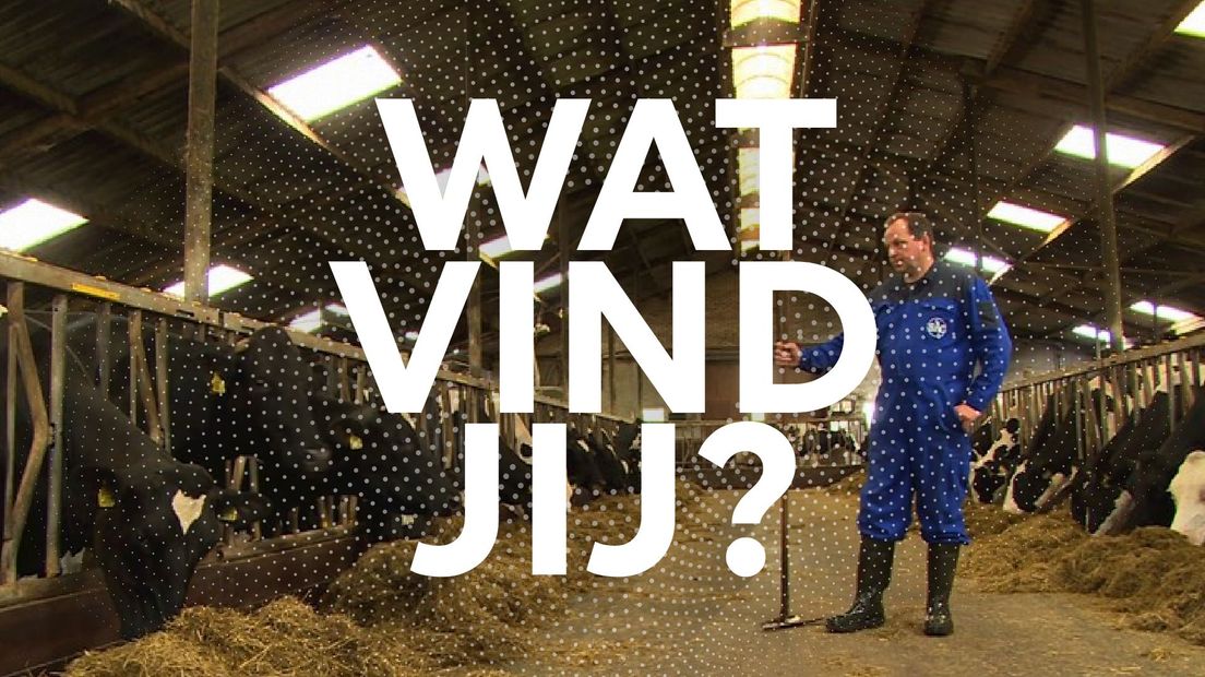 De koeien van Jan uit Kamperveen werden geruimd