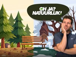 Waarom gaan sommige dieren in winterslaap en mensen niet?