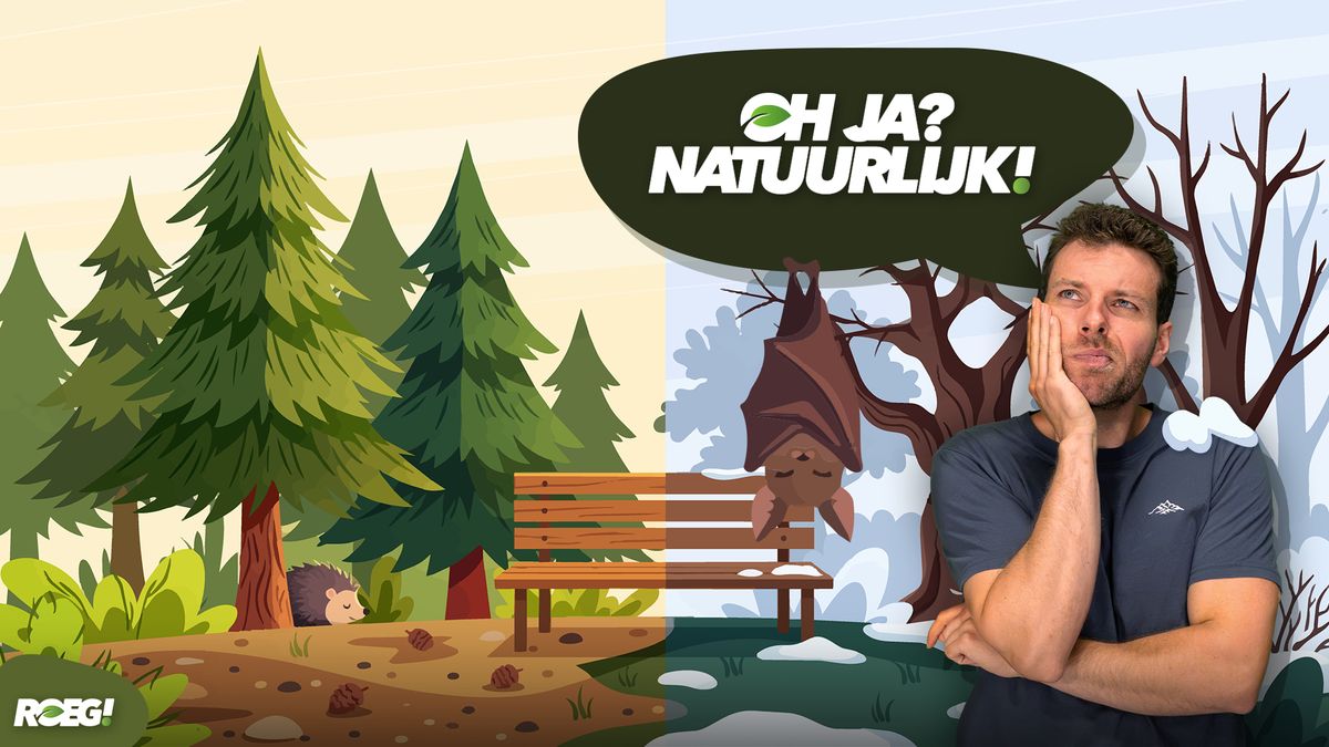 Waarom gaan sommige dieren in winterslaap en mensen niet?