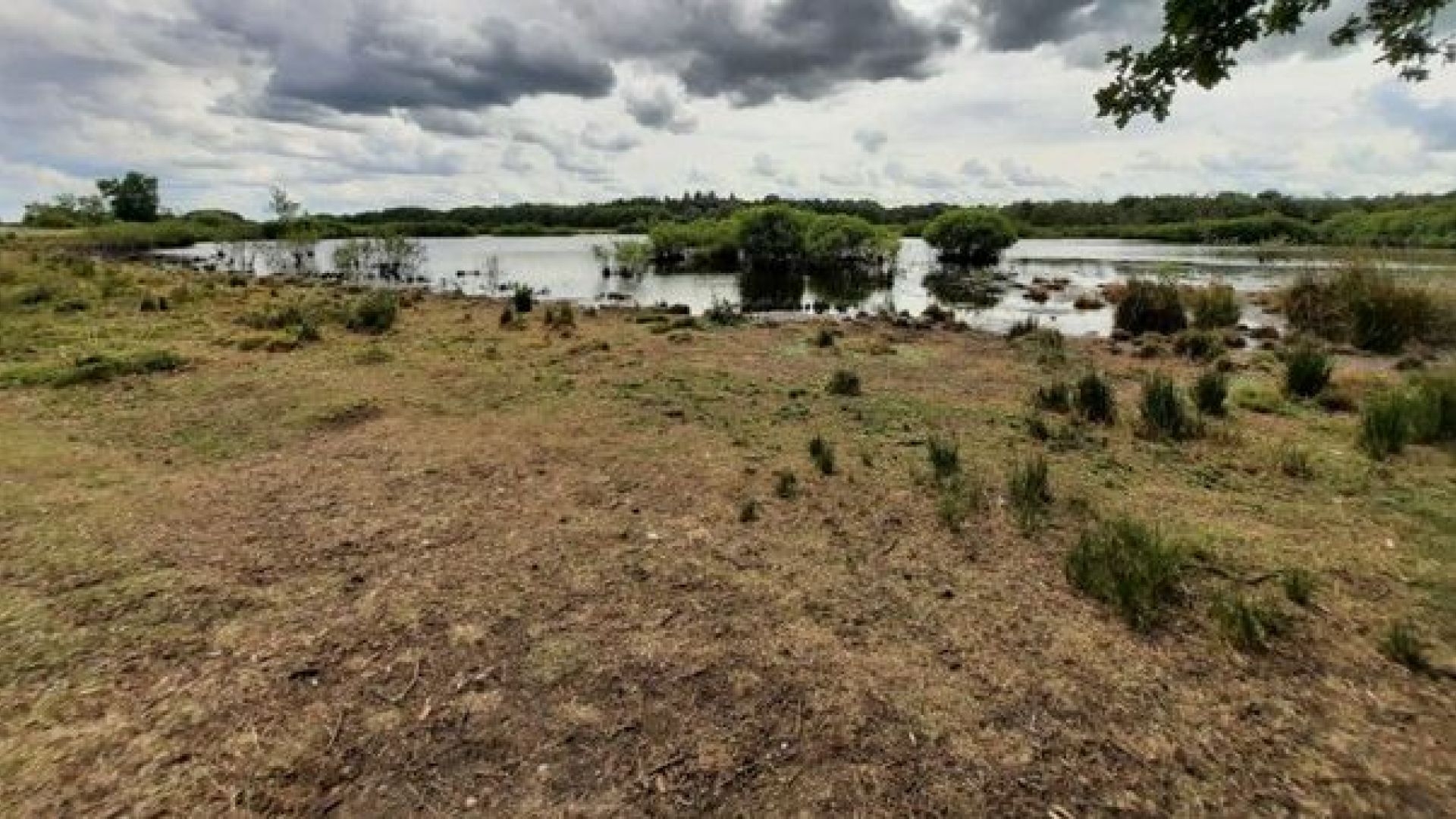 Urgentie water vasthouden voelbaar in Achterhoek en Liemers: ‘Uitstel is geen optie’.