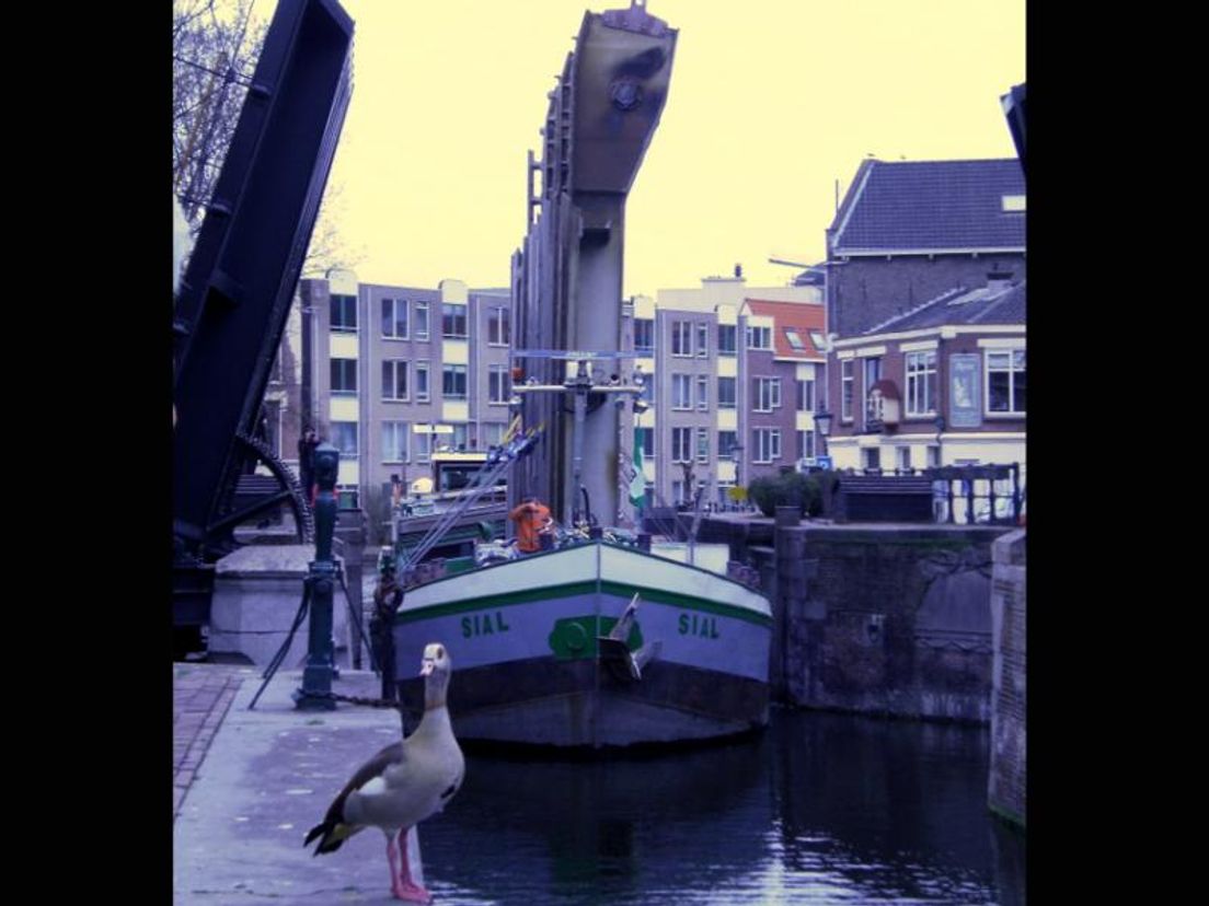 Schiedamse Proveniersbrug op transport foto Ton Wessling